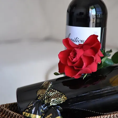 Dunia 211 Puerto del Carmen (Lanzarote)